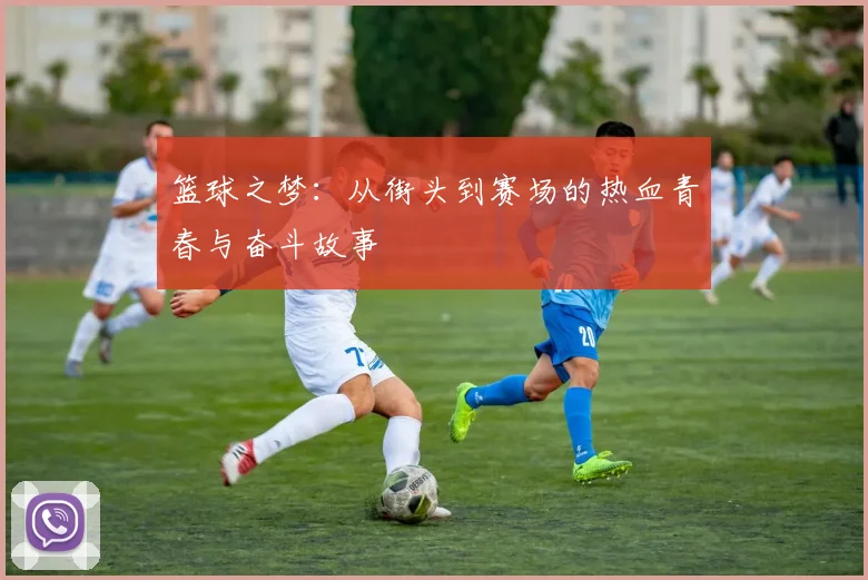 篮球之梦：从街头到赛场的热血青春与奋斗故事