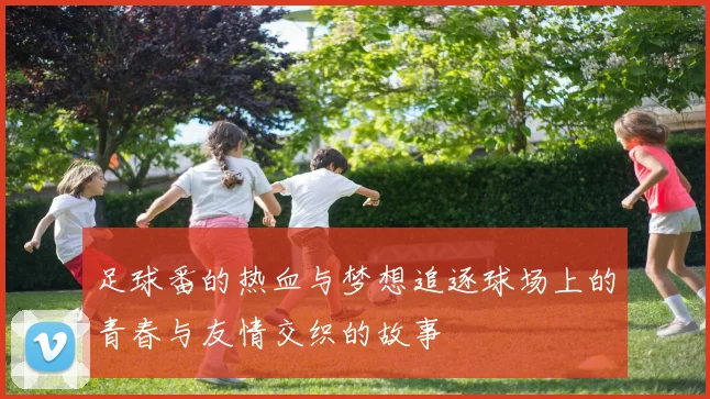 足球番的热血与梦想追逐球场上的青春与友情交织的故事