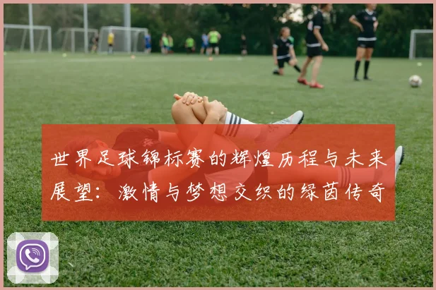 世界足球锦标赛的辉煌历程与未来展望：激情与梦想交织的绿茵传奇
