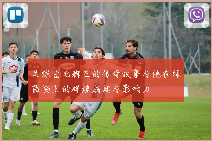 足球金毛狮王的传奇故事与他在绿茵场上的辉煌成就与影响力