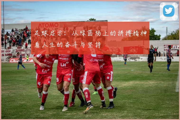 足球启示：从绿茵场上的拼搏精神看人生的奋斗与坚持