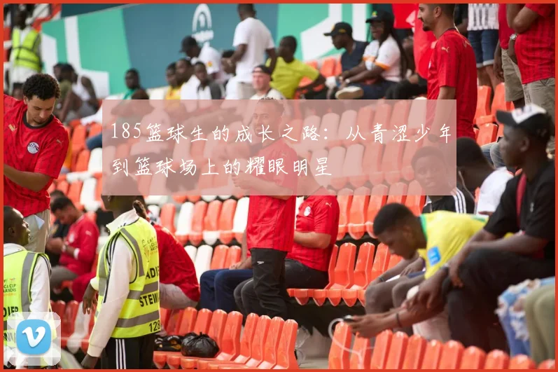 185篮球生的成长之路：从青涩少年到篮球场上的耀眼明星
